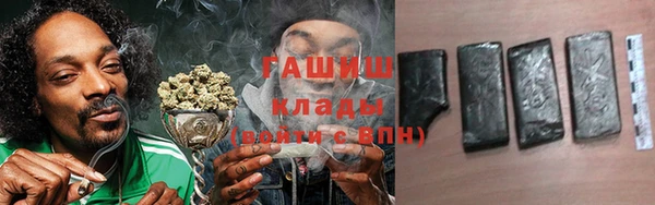 стаф Аркадак